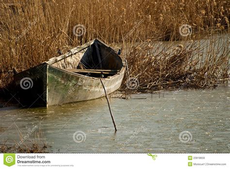 Boat In Reeds Stock Image Image Of Reflection Colour 23918659