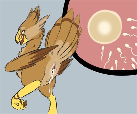 Rule 34 2012 After Sex Avian Bird Chocobo Cum Cum In Pussy Cum Inside Egg Female Feral