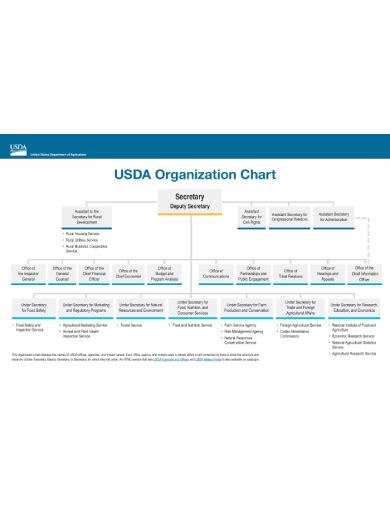 Printable Organizational Chart 10 Examples Format Pdf Examples