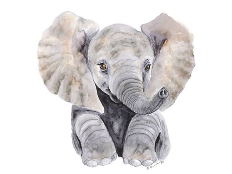 Baby Elephant Watercolor At Getdrawings Free Download