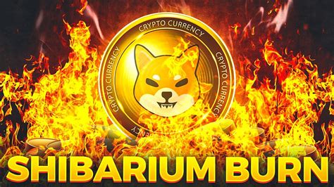 Shiba Inu Token After Shibarium Burn How Many Tokens Will Be Destroyed