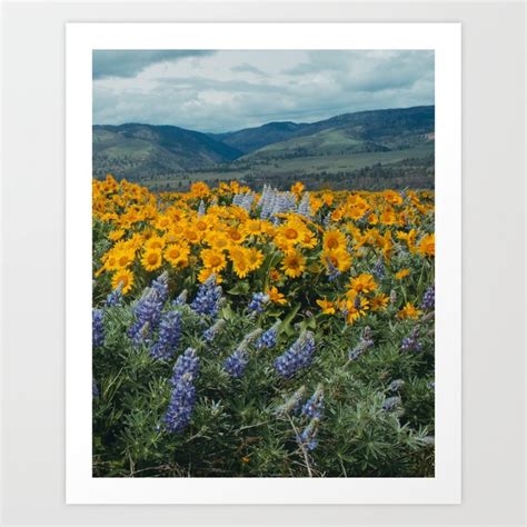 Oregon Spring Wildflower Hillside Art Print By Hillarymurphy Society6