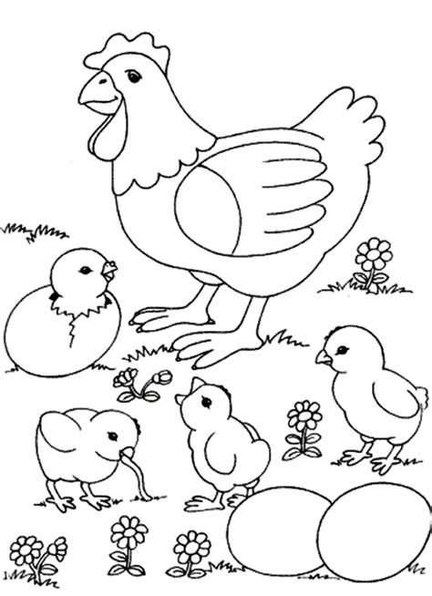 Gambar Ayam Untuk Diwarnai Anak Paud Adzka