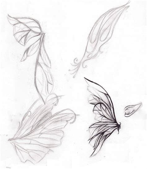Fairy Wings Fairy Wings Drawing Fairy Drawings Art Drawings Sketches