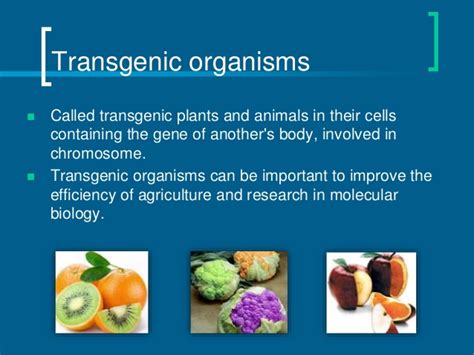 Transgenic organisms contain foreign dna that has been introduced using biotechnology. Transgenic and chimeric organisms (GMO)