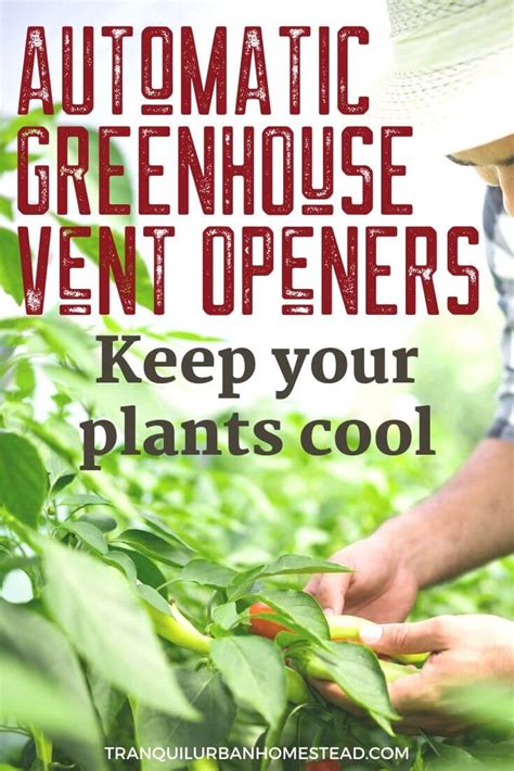 How To Keep Your Cool With Automatic Greenhouse Vent Openers Healthy