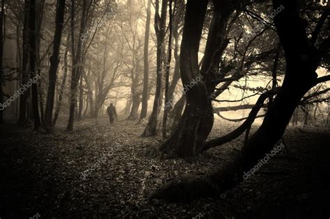 Ghost In Mysterious Dark Forest With Fog On Halloween — Stock Photo