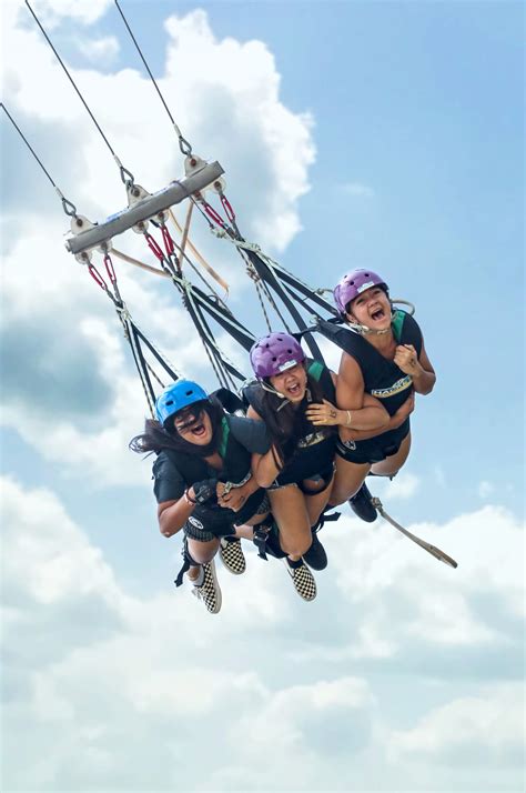 Ride Two Giant High Speed Swings At Aj Hackett In Singapore From Nzd 85 Pelago