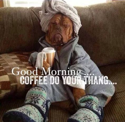 Pick Funny Relaxed Dog Of The Day Teaching Coffee And
