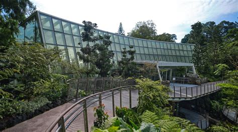 Enhanced National Orchid Garden Further Promotes Orchid Biodiversity