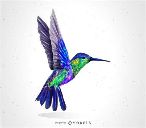 Descarga Vector De Dibujo De Pájaro Colibrí