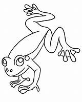 Frog Coloring Jumping Leaping Drawing Clipart Tree Coqui Colouring Scout Cliparts Library Drawings Leap Theme Happy Forget Don Presentations Projects sketch template
