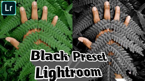 Copy preset adobe lightroom cc. BLACK PRESET LIGHTROOM | LIGHTROOM TUTORIAL | LIGHTROOM ...