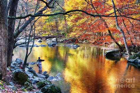 Scenic New Jersey Fall Fly Fishing Photograph By George Oze Fine Art