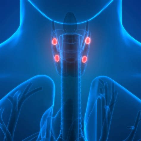 Parathyroid Adenoma San Diego Ent