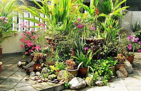 11 Most Essential Container Garden Design Tips Designing
