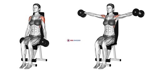 Dumbbell Standing Overhead Press Home Gym Review