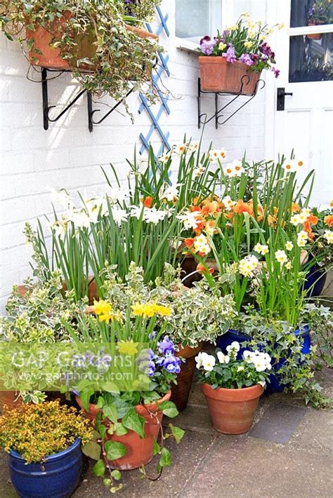 Gap Gardens Small Courtyard Garden With Masses Of Containers With