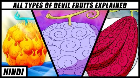 All Devil Fruits Explained In Hindi One Piece Youtube