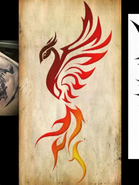 Tribal Phoenix Tattoos Pinterest
