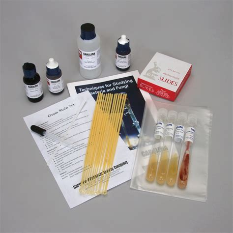 Gram Stain And Bacterial Morphology Kit Carolina Biological Supply