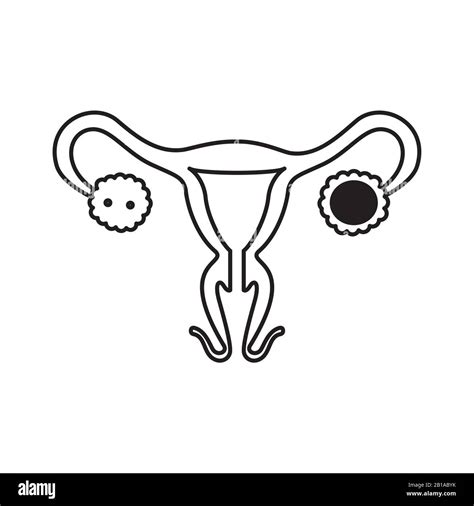 isolated female reproductive system icon vector design stock vector image and art alamy