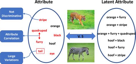 Figure 1 From Learning Discriminative Latent Attributes For Zero Shot