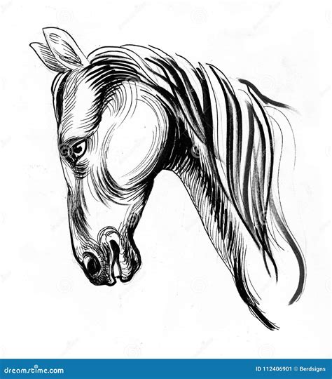 Horse Head Stock Illustration Illustration Of Horse 112406901