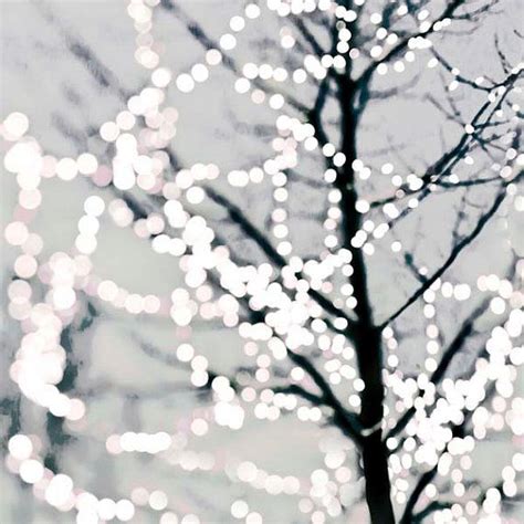 Sale White Christmas Fairy Lights Photograph Minimalist