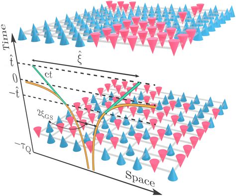 Quantum Phase Transition Dynamics In The Two Dimensional Transverse