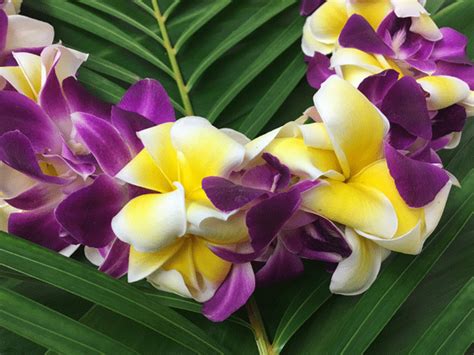 The Hawaiian Lei Company