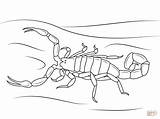 Colorear Scorpions Coloringpagebase Insect Bark Escorpión Invertebrate Coloringhome sketch template