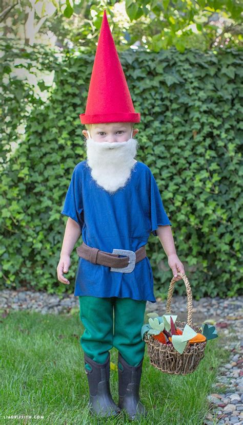 Diy Gnome Costume Gnome Costume Garden Gnomes Costume Diy Gnomes