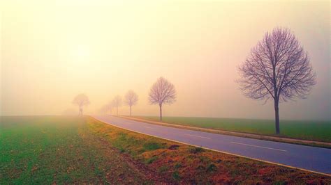 Wallpapers Hd Morning Misty Landscape