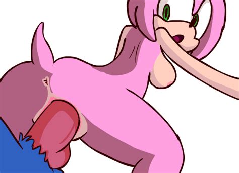 Rule 34 Amy Rose Animated Anthro Color Female Fur Furry