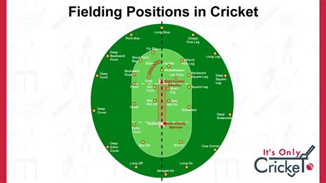 Cricket Fielding Positions Explained A Simple Guide Its Only Cricket