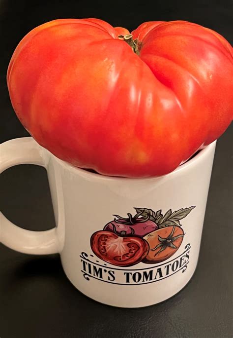 Pink Beefsteak Tomato Seeds Heirloom Organic Tims Tomatoes