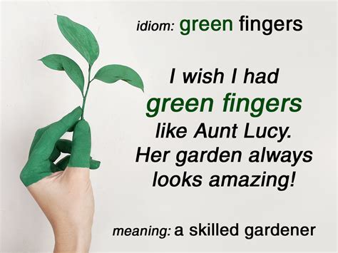 Idiom Green Fingers Funky English