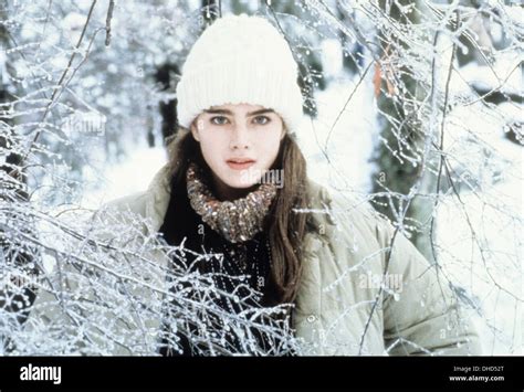 Endless Love 1981 Brooke Shields High Resolution Stock Photography And
