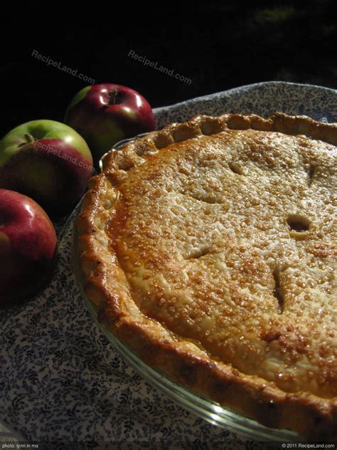 You can also add cinnamon or other spices if desired. Grandma's Apple Pie Recipe | RecipeLand.com