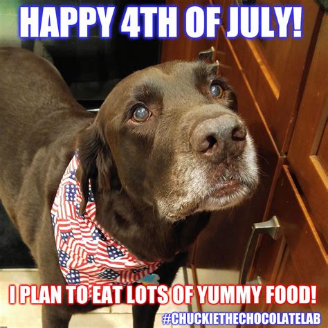 Custom Image 4th Of July Meme Happy 4 Of July 4th Of July