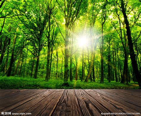树林摄影图__自然风景_自然景观_摄影图库_昵图网nipic.com Desktop wallpapers 4k uhd 16:9, hd backgrounds 3840x2160 sort wallpapers by: