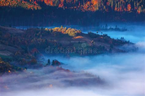 Beautiful Autumn Landscape With Valley Fog Stock Image Image Of