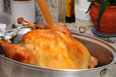 the best turkey basters spruce up