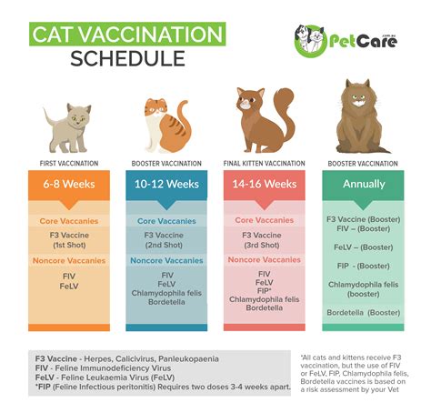 If your cat is not at her ideal weight, you may need to give her smaller or larger portions to help her achieve and maintain a healthy weight. Cat Vaccinations Schedule & Cost of Vaccines in Australia
