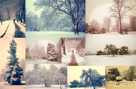 Winter Seasons Free Stock Photo Public Domain Pictures
