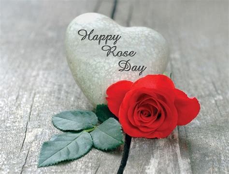 Find gifs with the latest and newest hashtags! Happy Rose Day Quotes Wishes, Rose Day 2020 Images Wallpapers