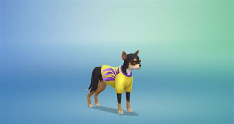 These cards prompt us to dig deeper with who our partners are today, not just the person we met them as. The Sims 4 My First Pet Stuff Pack Guide | SimsVIP