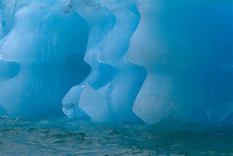 Blue Iceberg Tracy Arm Alaska Betty Sederquist Photography