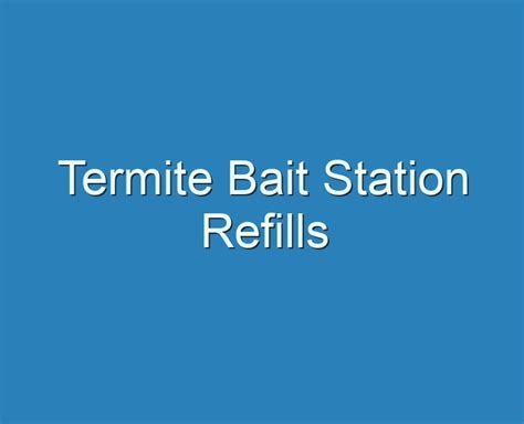 20 Best Termite Bait Station Refills 2023 Reviews